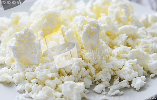 Image of curd cheese