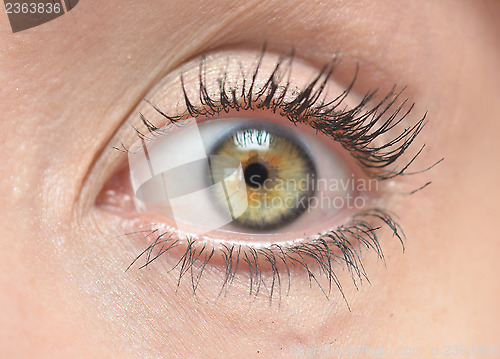 Image of human eye