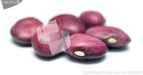 Image of kidney