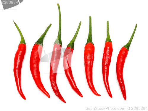 Image of Seven Red hot chili pepper