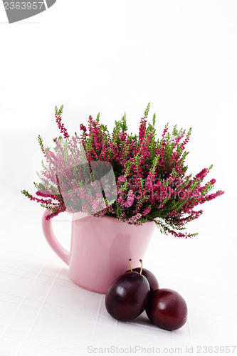 Image of heather