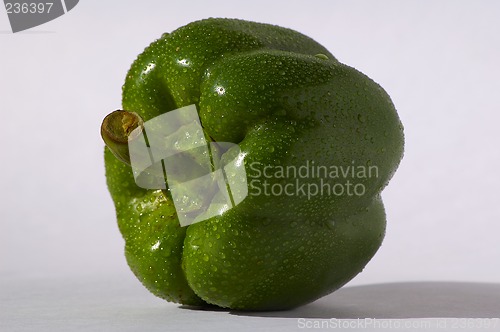 Image of Green pepper