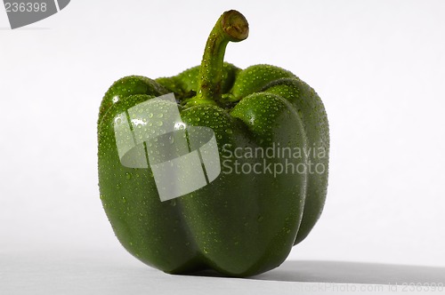 Image of Green pepper