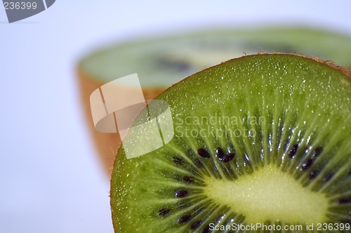 Image of Kiwi