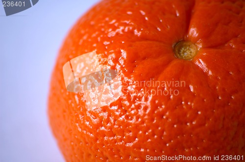 Image of Mandarin