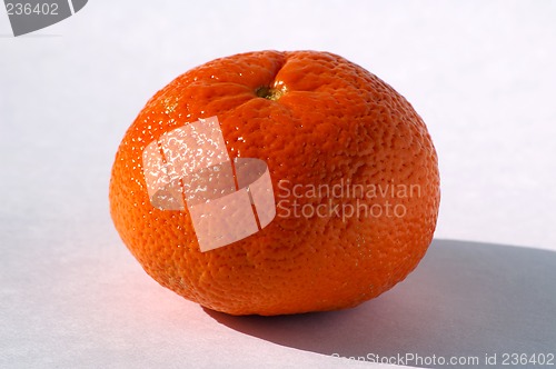 Image of Mandarin