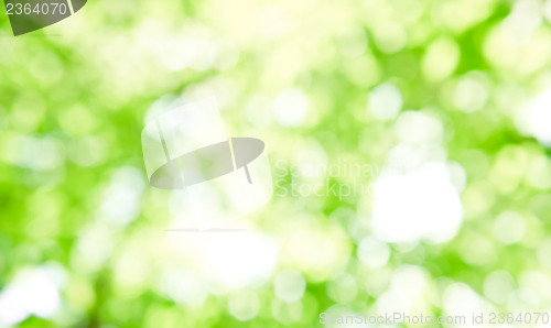 Image of Bokeh