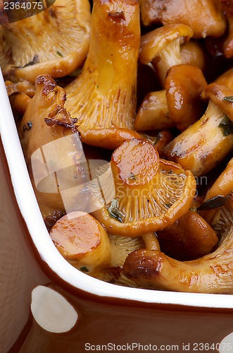 Image of Roasted Chanterelles