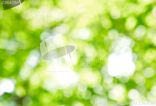 Image of Bokeh