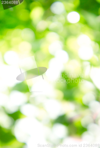 Image of Bokeh