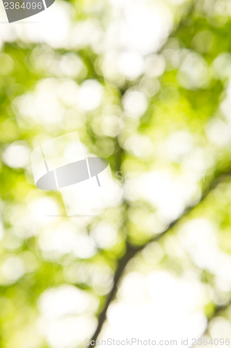 Image of Bokeh