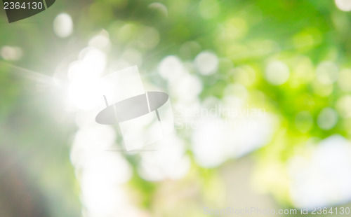 Image of Bokeh