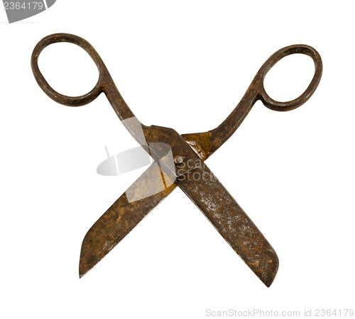 Image of rusty old vintage scissors isolated on white 