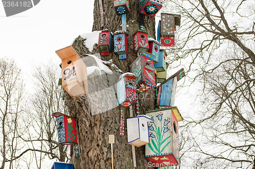 Image of bird house nesting box snow tree trunk winter 