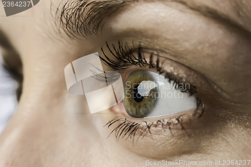 Image of closeup eye and iris of young woman