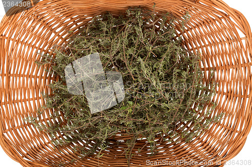 Image of Rosemary in basket