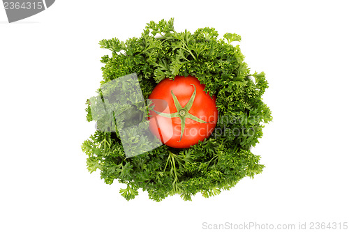 Image of Parsley and tomato