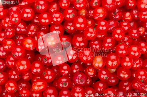 Image of Redcurrant background