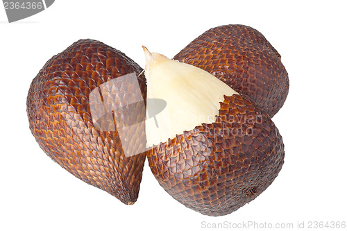 Image of Snake fruit
