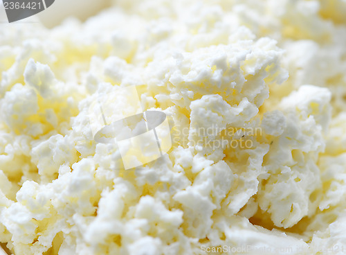 Image of cottage cheese