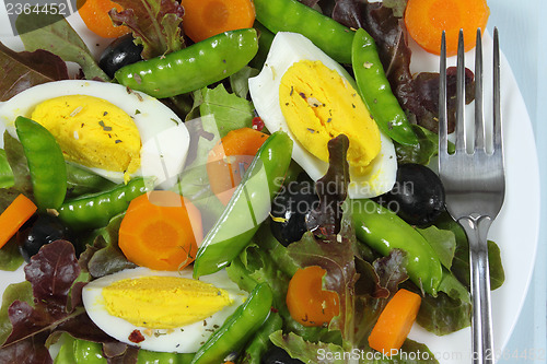 Image of Salad
