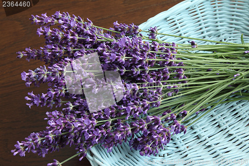 Image of Bunch of lavender