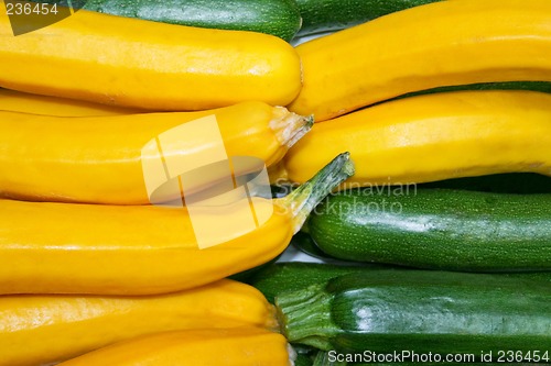 Image of Zucchini vegetable