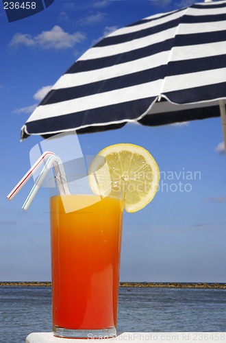 Image of Tropical Drink