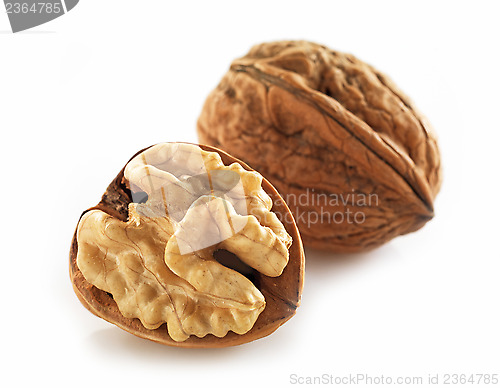 Image of walnuts macro