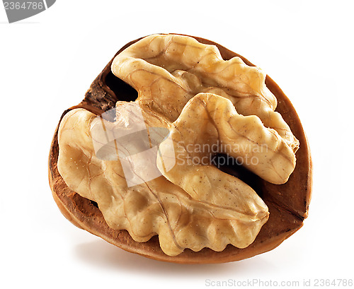 Image of walnut macro