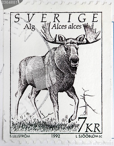 Image of Moose Stamp
