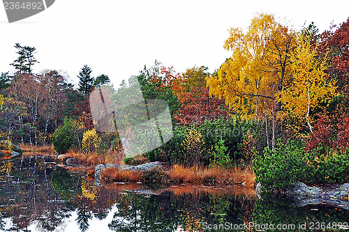 Image of Autumn