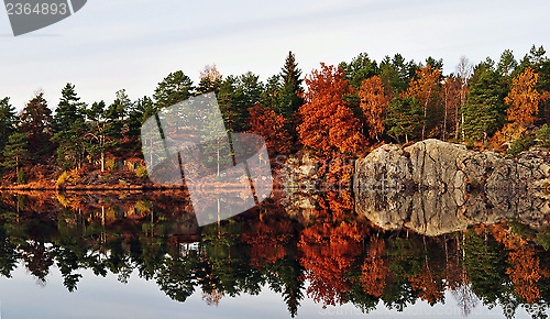 Image of Autumn