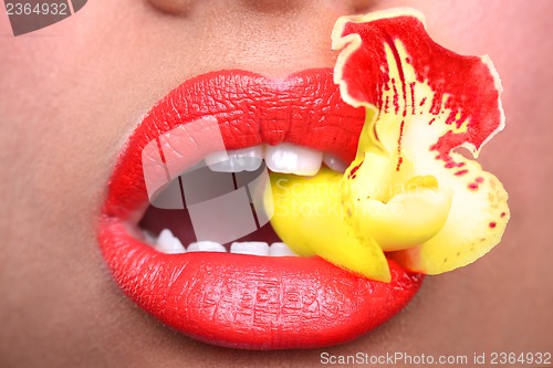Image of Woman With Sensual Lips Holding Flower in Mouth