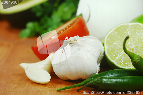 Image of Salsa Ingredients of Avocado, Cilantro, Tomatoes and Peppers