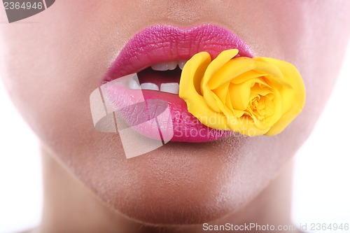 Image of Woman With Sensual Lips Holding Flower in Mouth