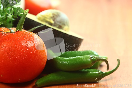 Image of Salsa Ingredients of Avocado, Cilantro, Tomatoes and Peppers
