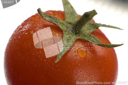 Image of tomato