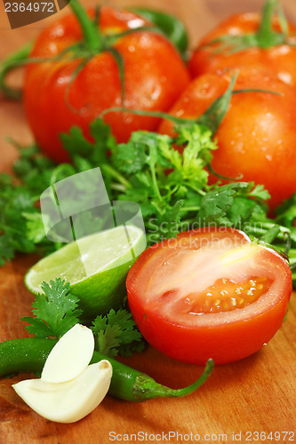 Image of Salsa Ingredients of Avocado, Cilantro, Tomatoes and Peppers