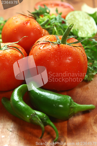 Image of Salsa Ingredients of Avocado, Cilantro, Tomatoes and Peppers