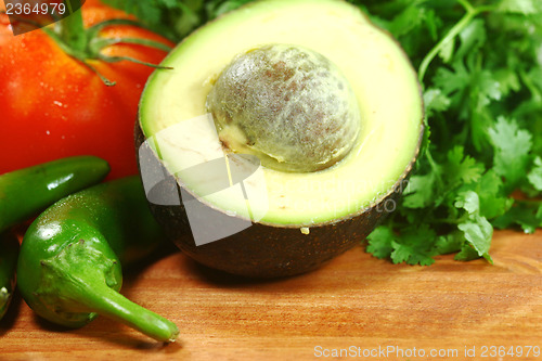 Image of Salsa Ingredients of Avocado, Cilantro, Tomatoes and Peppers