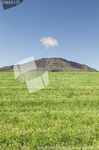 Image of Wheatfield and mountain