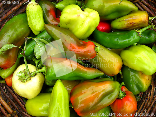 Image of Crop of multicolour Bulgarian pepper