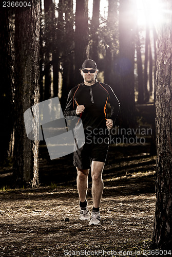 Image of Runing in the forest