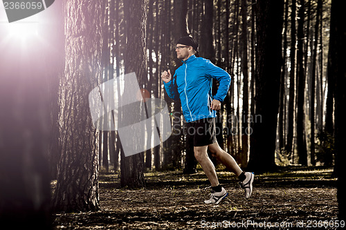 Image of Runing in the forest