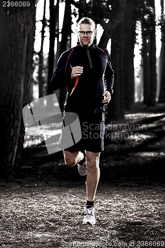 Image of Runing in the forest