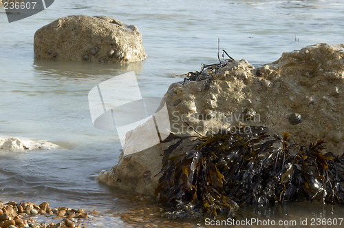 Image of sea rocks