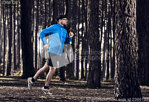 Image of Runing in the forest