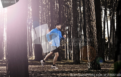 Image of Runing in the forest