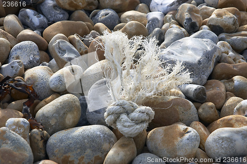 Image of Rope on the beach